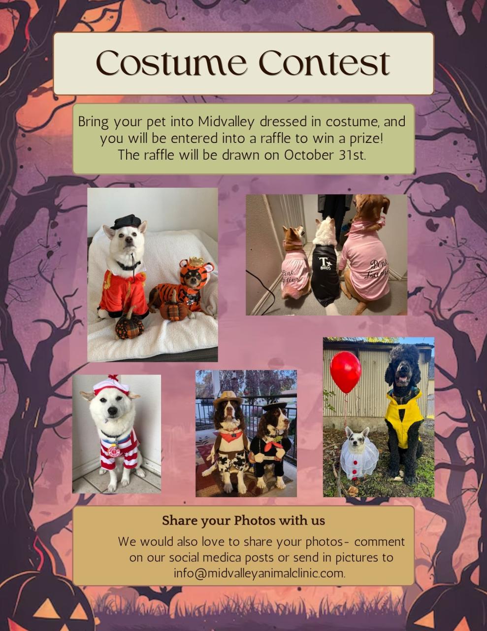 October 2026 Newsletter Page 3