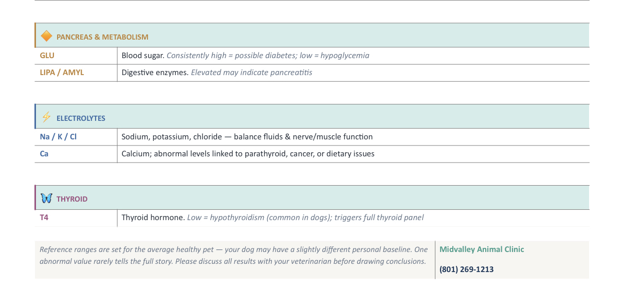 "How to read your pets bloodwork_2"