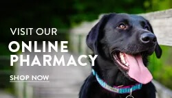 online-pharmacy