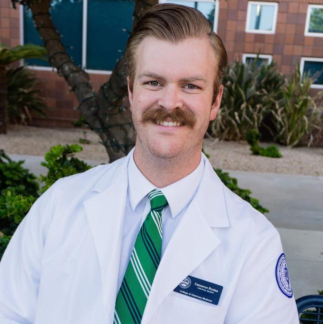Dr. Cam Rodee