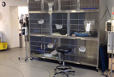 Midvalley Animal Clinic - Veterinarian in Salt Lake City, UT